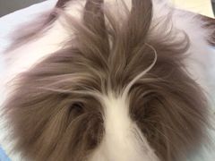-藦茜花园宠物主题亲子互动体验馆(国顺东路店)