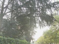 -圣西罗球场