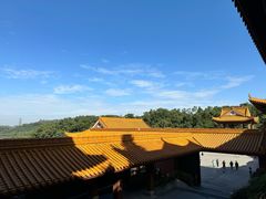 -深圳仙湖植物园