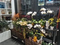 -杭州街角花屋花店(闻堰店)