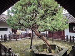 -水绘园