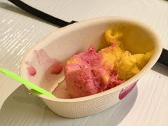 -Mint Gelato(二厂店)