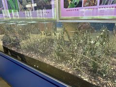 -上海昆虫博物馆