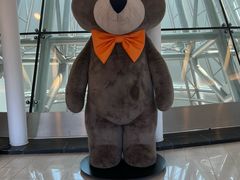 -济州岛泰迪熊博物馆