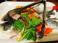 -蜀滋香鲜鱼美蛙火锅(339店)