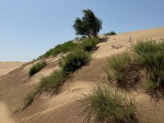 -银肯塔拉沙漠生态旅游景区