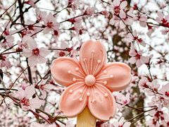 -桃花堤公园