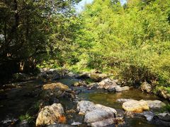 -石台牯牛降景区