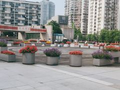 -浙江自然博物院(杭州馆)