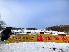 -黑瞎子岛探秘野熊园