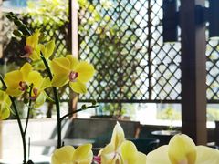 -洋洋中餐馆·SINCE 1997(信投店)