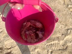 -那香海钻石沙滩浴场
