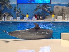 -泉城欧乐堡海洋极地世界