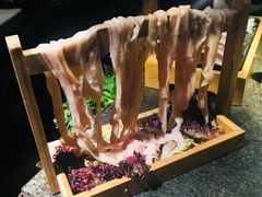 鸭肠儿-湊湊火锅·茶憩(新中关购物中心店)