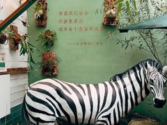 -大水的店(昙华林店)