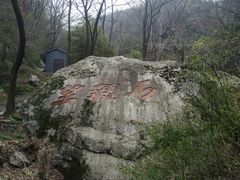 -王顺山国家森林公园