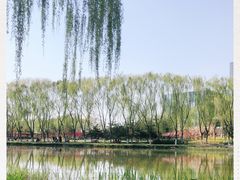 -大兴滨河森林公园