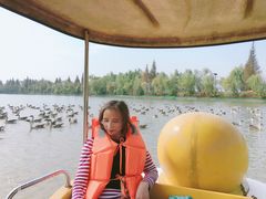 -艾溪湖湿地公园