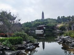 -顺峰山公园