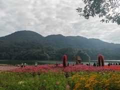 -广州市石门国家森林公园
