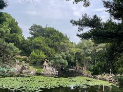 -叶家花园