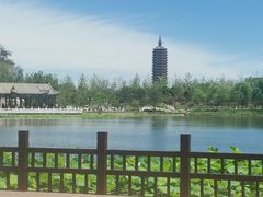 -西海子公园