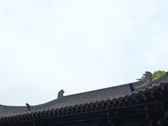 -三游洞