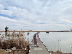 -盐城丹顶鹤湿地生态旅游区