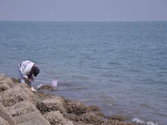 -天津妈祖文化园