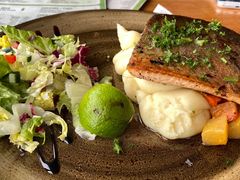 Local Fish Char-Hotel Skogafoss Bistro Bar