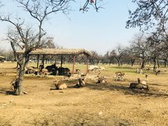 -西安秦岭野生动物园