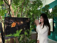 -福州海峡文化艺术中心