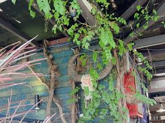 -野蔓果·山野菜(西湖景区·龙井茶田店)