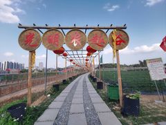 -光明小镇欢乐田园