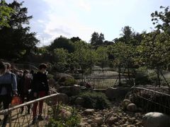 -狐尾山公园