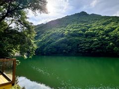 -龙道沟景区