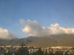 -杨顺宝喜洲粑粑