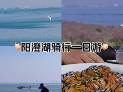 -阳澄湖半岛旅游度假区