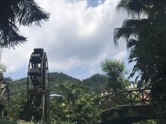 -重庆海昌加勒比海水世界