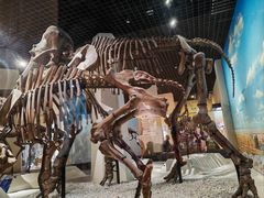 -国家自然博物馆