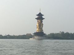 -溱湖国家湿地公园