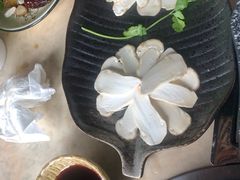 -蘑统田下·野生菌火锅