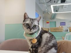 -怪兽屋·羊驼·猫咖·狗咖(俊华广场店)