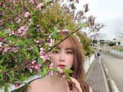 -紫颐香薰山谷景区