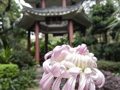 -广州文化公园