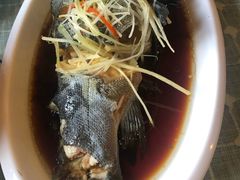 高原雪山鱼-小厨子私房菜·云南美食店