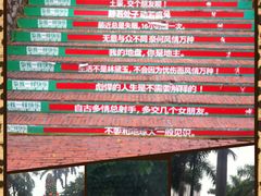 -东部华侨城