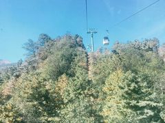 -苍山感通索道