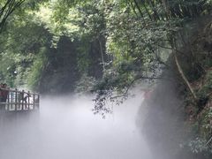 -川西竹海景区