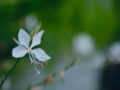 -木守西溪溪隐餐厅